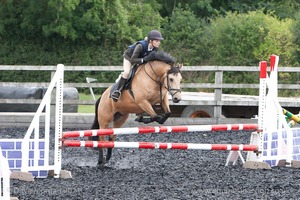 Class 5 - Fences not above 2'6